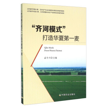 “齊河模式”打造華夏麥 pdf epub mobi 下载