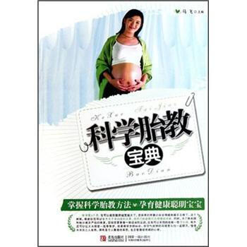 科学胎教宝典 9787543649576 pdf epub mobi 电子书 下载