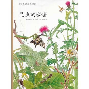 昆虫是秘密-1