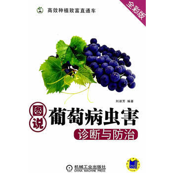 图说葡萄病虫害诊断与防治(高效种植致富直通车) 9787111465171 pdf epub mobi 下载