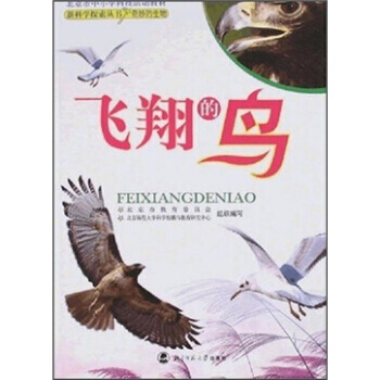 北京市中小学科技活动教材：飞翔的鸟 9787303086986 pdf epub mobi 电子书 下载