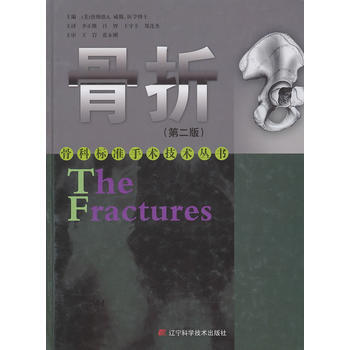 骨摺(第二版) 9787538167009 pdf epub mobi 下载