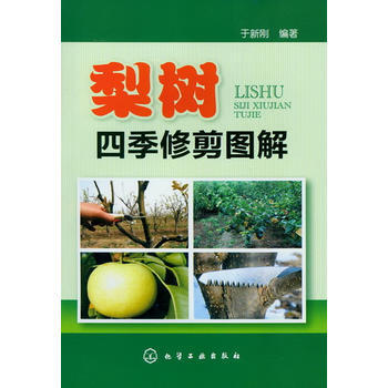 梨树四季修剪图解 于新刚 9787122154996