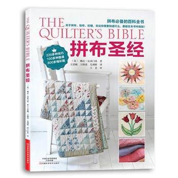 拼布 9787534972119 pdf epub mobi 电子书 下载