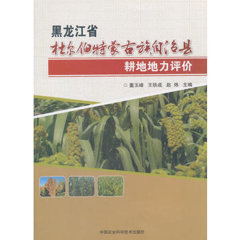 黑龙江省杜尔伯特蒙古族自治县耕地地力评价 pdf epub mobi 电子书 下载