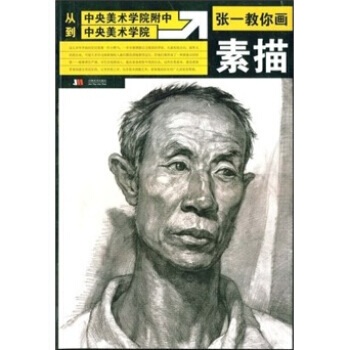 张一教你画素描 9787538627718