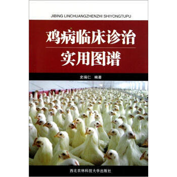 鸡病临床诊治实用图谱