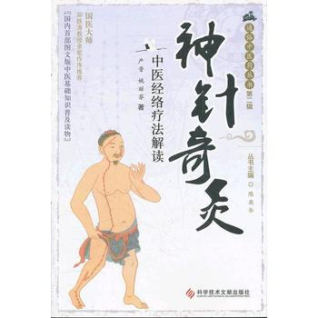 神针奇灸 9787502369873 pdf epub mobi 电子书 下载
