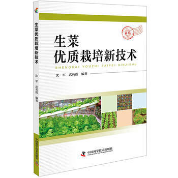 生菜优质栽培新技术
