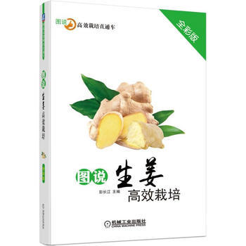 图说生姜高效栽培(全彩版) 彭长江 pdf epub mobi 电子书 下载