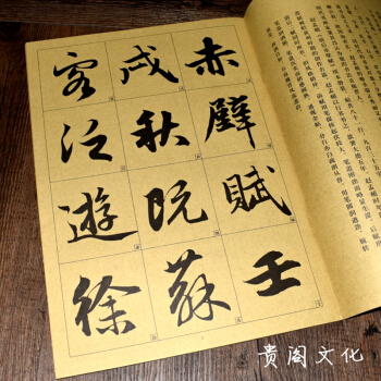 赵孟頫 前后赤壁赋历代墨宝彩色放大本碑刻全集 中国古代碑帖书法精选 毛笔书法墨迹中华经典碑帖 pdf epub mobi 下载