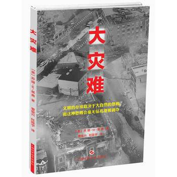 大災難 pdf epub mobi 下载