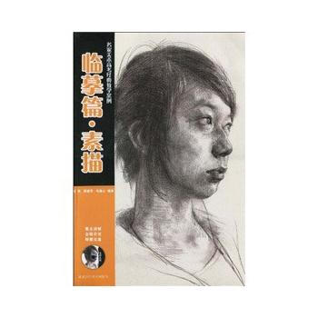 临摹篇 素描 9787535244949 pdf epub mobi 下载