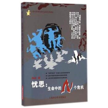 忧思：生命中的N个危机 pdf epub mobi 下载