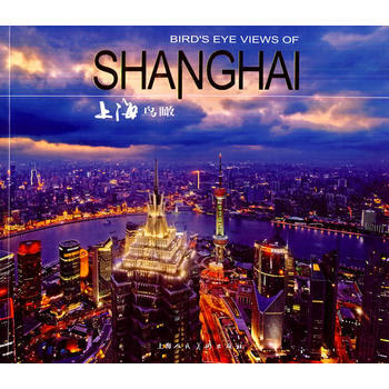 上海鸟瞰 pdf epub mobi 下载