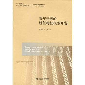 青年干部的胜任特征模型开发 北京师范大学出版社
