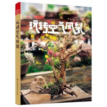 玩轉空氣鳳梨 陸遙 吳誌堅 曹靜 江雪峰 pdf epub mobi 下载