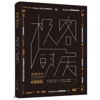 极客厨房 （法）蒂博·维拉诺瓦，（法）马克西姆·莱昂纳多 新星出版社 pdf epub mobi 电子书 下载