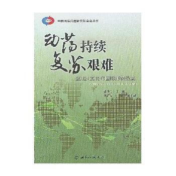 動蕩持續 復蘇艱難：2012-2013年國際形勢縱覽 9787501244522 pdf epub mobi 電子書 下載