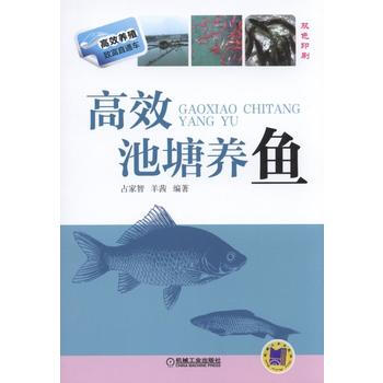 高效池塘养鱼 pdf epub mobi 电子书 下载
