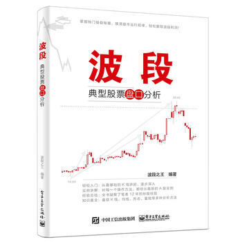 波段：典型股票盘口分析 波段之王著 pdf epub mobi 电子书 下载
