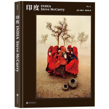 史蒂夫.麦凯瑞:印度 pdf epub mobi 电子书 下载