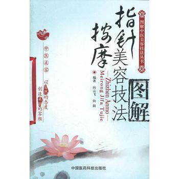 指針按摩美容技法圖解 pdf epub mobi 下载