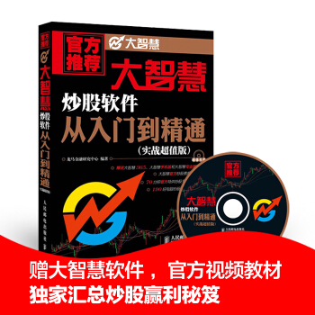 大智慧炒股軟件從入門到精通 pdf epub mobi 下载