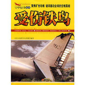 受傷鐵鳥 pdf epub mobi 下载