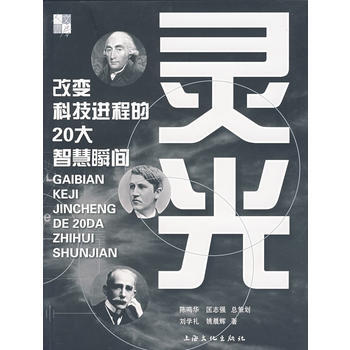 靈光：改變科技進程的20大智慧瞬間 pdf epub mobi 下载