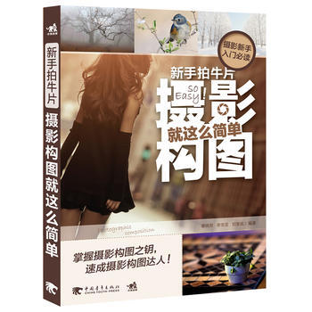新手拍牛片：摄影构图就这么简单 pdf epub mobi 下载