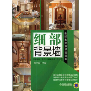 新家装背景墙细解 细部背景墙 pdf epub mobi 电子书 下载