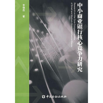 中小商業銀行核心競爭力研究 pdf epub mobi 下载