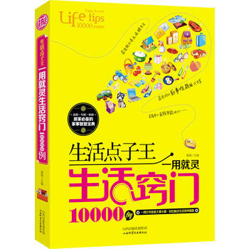 生活點子王:一用就靈生活竅門10000例 pdf epub mobi 下载