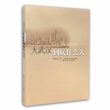 大武汉到底什么大 pdf epub mobi 下载