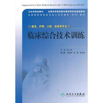 临床综合技术训练 pdf epub mobi 下载
