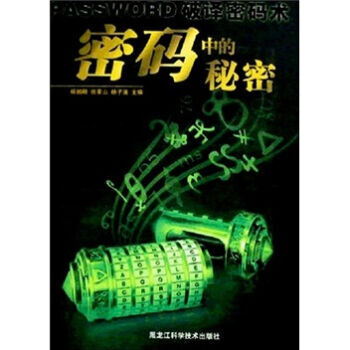 密碼中的秘密 pdf epub mobi 下载