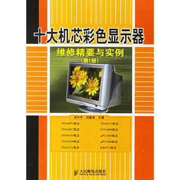 十大机芯彩色显示器维修精要与实例(册)