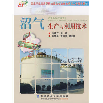 沼氣生産與利用技術 pdf epub mobi 下载