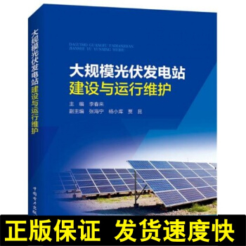 正版 大规模光伏发电站建设与运行维护 光伏发电投资与造价管理 发电站勘测与设计 光伏电站接入管理 pdf epub mobi 下载