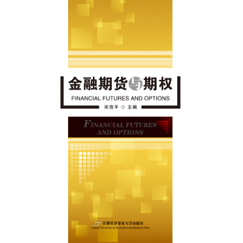 金融期貨與期權 pdf epub mobi 下载