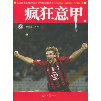 疯狂意甲 pdf epub mobi 电子书 下载