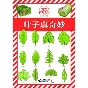 叶子真奇妙-自然趣玩屋