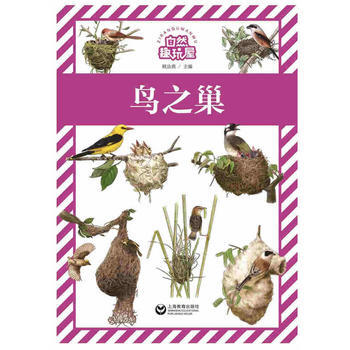 鳥之巢-自然趣玩屋