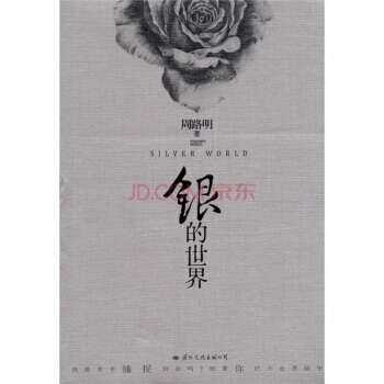 银的世界 周路明 9787512502260 pdf epub mobi 下载