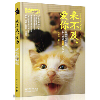 來不及，愛你 吳誌偉 9787121221514 pdf epub mobi 下载