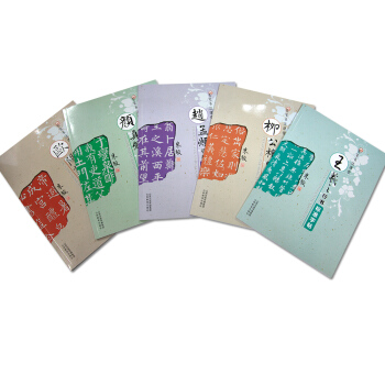 正版五册 毛笔书法课堂 欧阳询 柳公权 颜真卿 赵孟頫 王羲之 毛笔书法教程教材 毛笔字帖 书籍