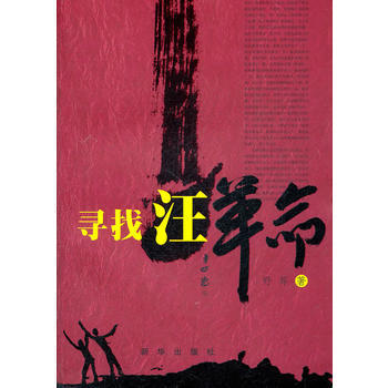 寻找汪革命 pdf epub mobi 电子书 下载
