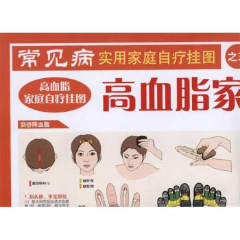 高血脂家庭自疗挂图/常见病实用家庭自疗挂图 pdf epub mobi 下载