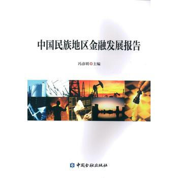 中国民族地区金融发展报告 pdf epub mobi 下载